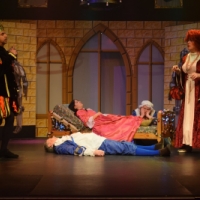 Panto - princess asleep